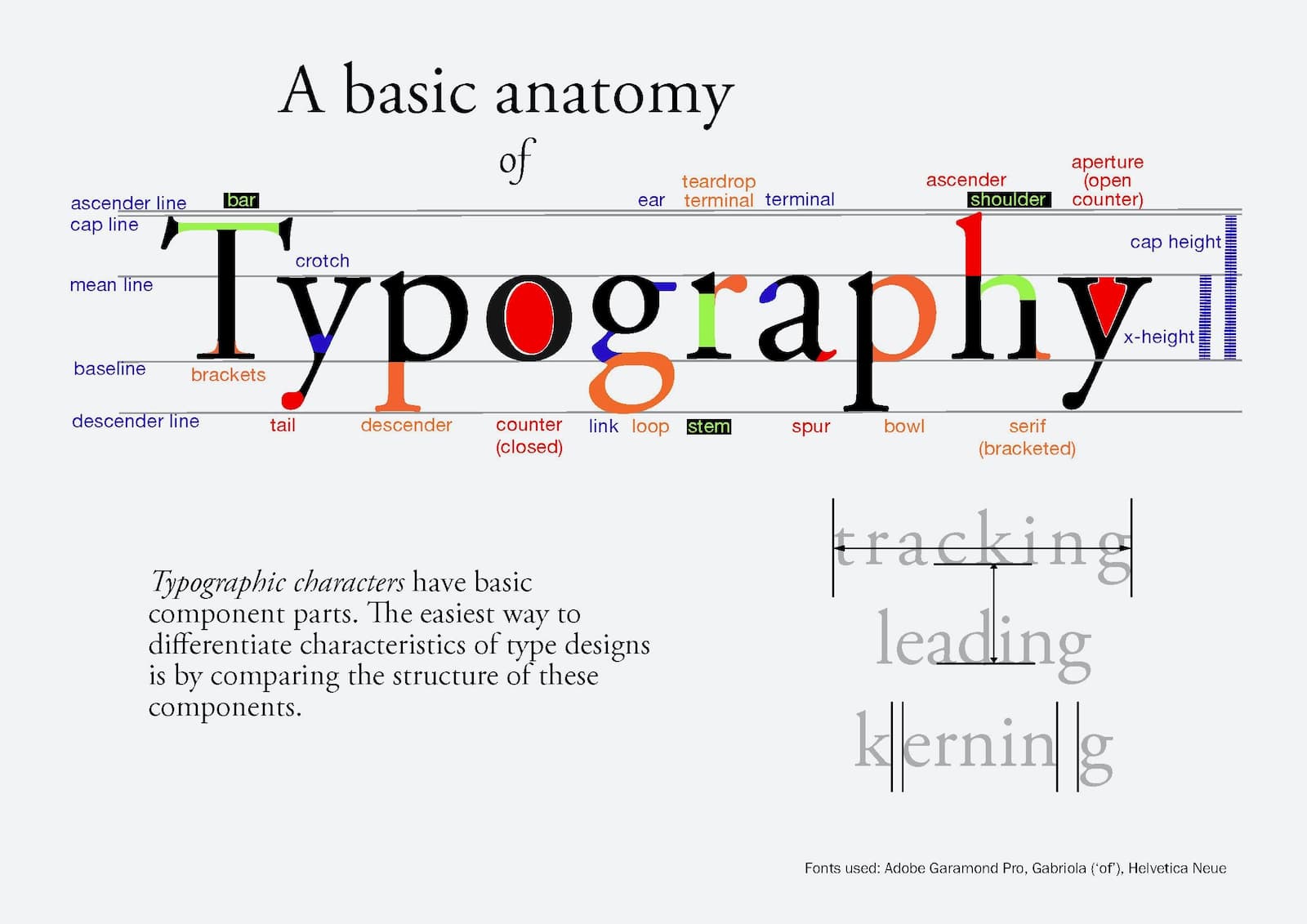 The basic anatomy of a font including an explanation of terms for laying out a typeface.