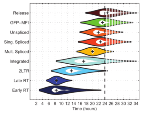 Violin plots